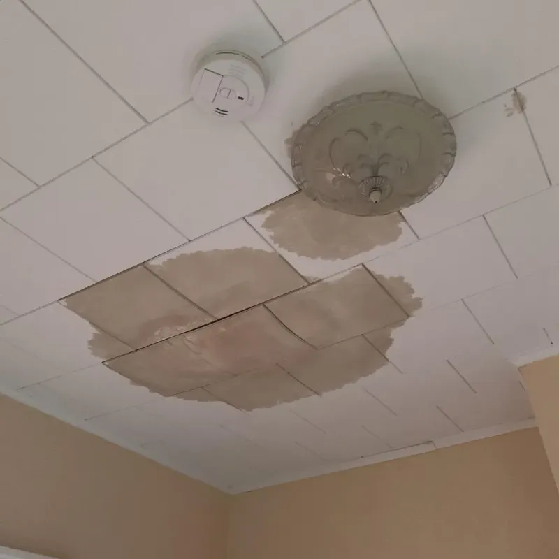 Ceiling Water Damage Repair in Golden Valley County, ND