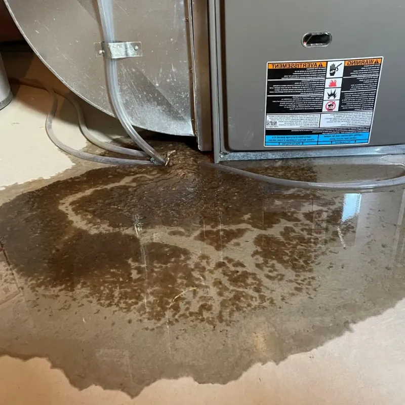 Pipe Burst and Leak Restoration in Golden Valley County, ND